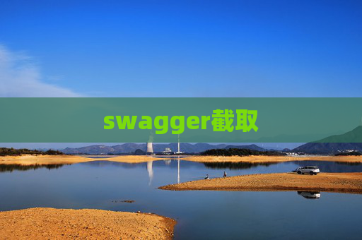 swagger截取